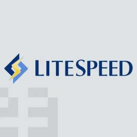 Litespeed Technologies Inc